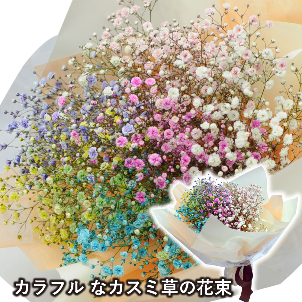 楽天市場】【生花】レインボーカスミ草 虹 （染め・国産・60cm
