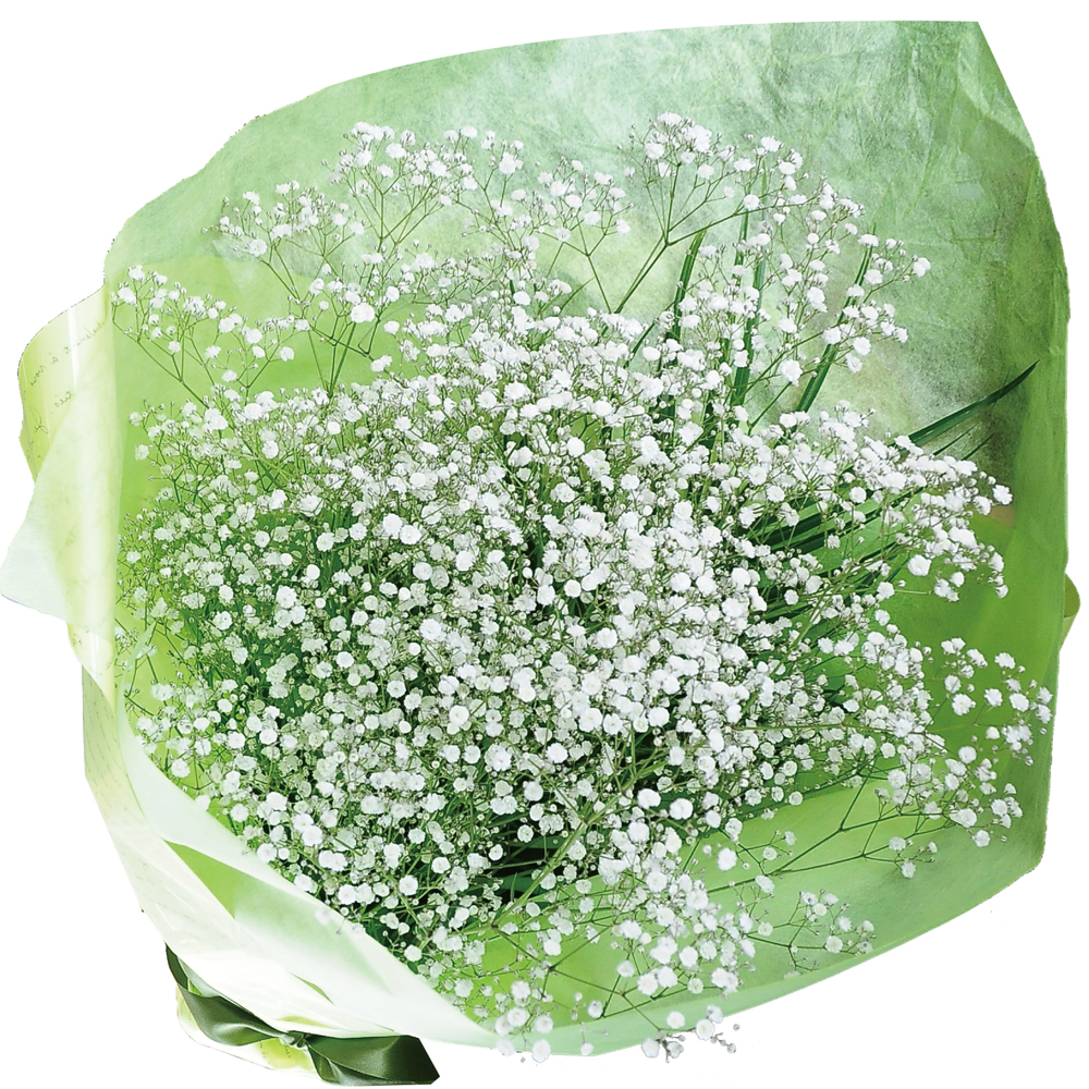 かすみ草 Amazon｜【SRrabbit】清楚な かすみ草 造花 カスミ草 かすみそう