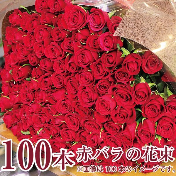 お手頃価格 誕生日 ばら 薔薇 ギフト プレゼント 100本 赤いバラの花束 花 プロポーズ 花束 成人祝 花束 成人式 年の数 ローズ 送料無料 発表会 結婚記念日 Redrose100 Goodfellowzm Com