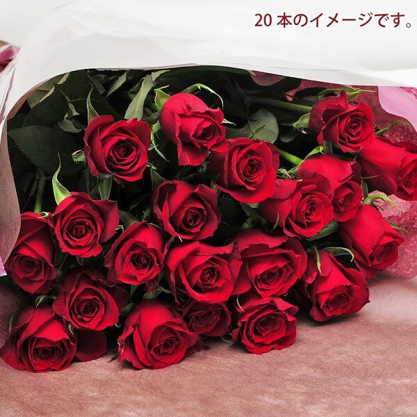 赤いバラ 花束 生花 プロポーズ 赤いバラの花束 薔薇 ギフト プレゼント 本 送料無料 発表会 エーデルワイス 結婚記念日祝い 結婚記念日 花 年の数 花束 誕生日 誕生日祝い 誕生日 赤いバラ 花束 生花 プロポーズ 赤いバラの花束 薔薇 ギフト プレゼント 本 送料無料 発表会 エーデルワイス 結婚記念日祝い 結婚記念日 花 年の数 花束 誕生日 誕生日祝い 誕生日