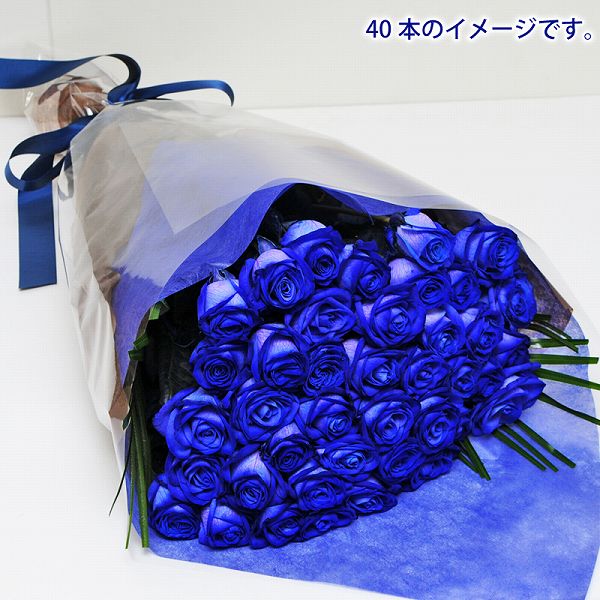 お買得 誕生日 送別会 誕生日 ギフト 内祝 送料無料 花束 プロポーズ お祝 フラワーギフト 花束 薔薇 プロポーズ 青い薔薇 ブルーローズ 青いバラ 記念日花束バラ 宅配 送料無料 送別会 結婚記念日 退職祝い エーデルワイス 花宅配花屋ギフト花言葉は神の祝福 お買得 誕生日 送別会 誕生日 ギフト 内祝 送料無料 花束 プロポーズ お祝 フラワーギフト 花束 薔薇 プロポーズ 青い薔薇 ブルーローズ 青いバラ 記念日花束バラ 宅配 送料無料 送別会 結婚記念日 退職祝い エーデルワイス 花宅配花屋ギフト花言葉は神の祝福