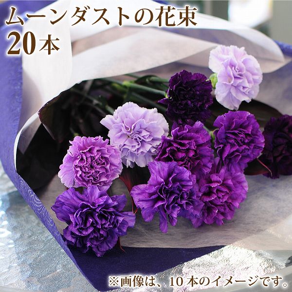 誕生日 記念日 花 ギフト プレゼント を 贈る ムーンダストの花束 本 青い