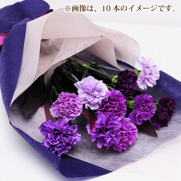 安い購入 楽天市場 誕生日 記念日 花 ギフト プレゼント を 贈る ムーンダストの花束 本 青いカーネーション バースディ 誕生日 結婚祝 プレゼント ムーンダスト 花束 誕生日 記念日 ギフト 花宅配 結婚記念日花束 年の数 フラワー エーデルワイス 花宅配花屋