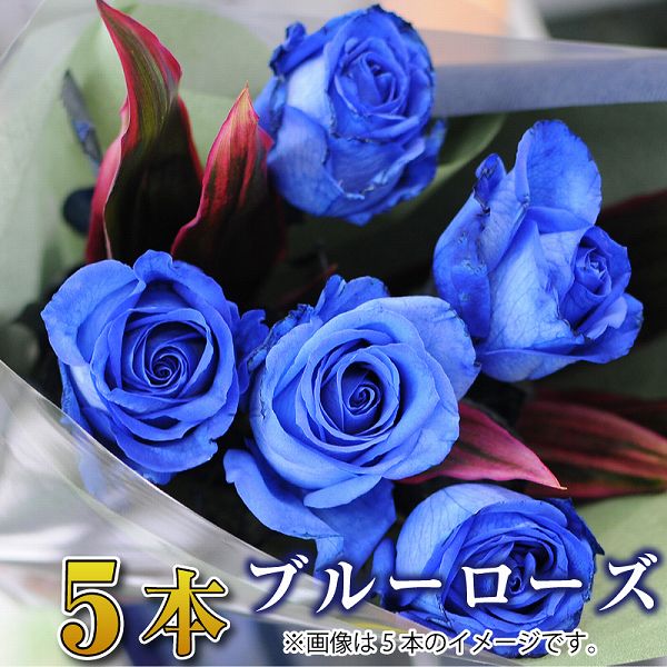 楽天市場 青いバラ花束 ブルーローズ 花束 誕生日 結婚記念日 プロポーズ 花束 青いバラ5本の花束 ブルーローズ 薔薇 送料無料 宅配 配送 お祝 ギフト プレゼント 送別会 退職祝いに送る 青いバラの花束 誕生祝いに贈る花束 バースデーフラワーギフト エーデルワイス