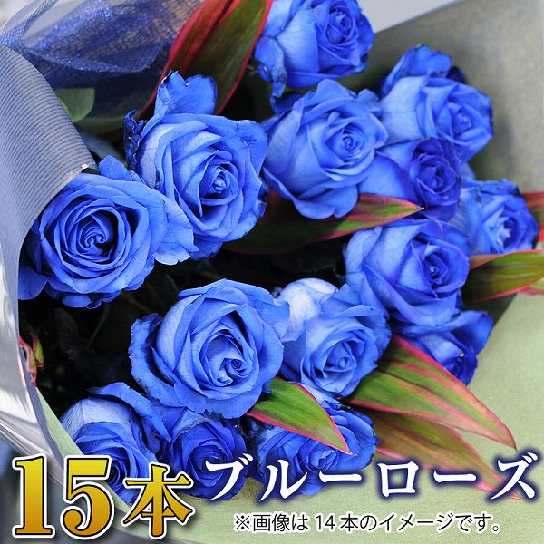 即発送可能 誕生日 記念日 プロポーズ 花束 青いバラ15本の花束 ブルーローズ ベンデラ 薔薇 宅配 配送 お祝 ギフト プレゼント 送別会 退職祝い ブルーローズ花束 エーデルワイス 花宅配花屋ギフト Www Etechnologycr Com