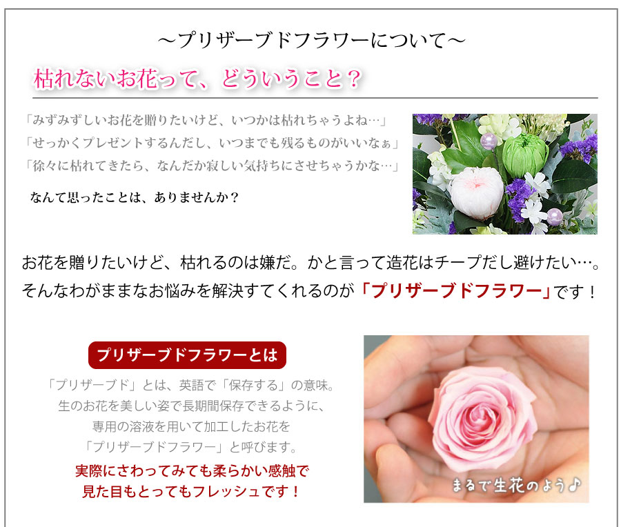 お盆花 新盆花 お供え 花 プリザーブドフラワー 仏花 お悔やみ 花 お供え 仏花 プリザーブドフラワー 仏花 お供え お悔やみ お供え花 供花 プリザーブドフラワー 仏花 プリザーブドフラワー 命日 御供え お悔やみ 四十九日 天音 ブリザードフラワー Purplehouse Co Uk