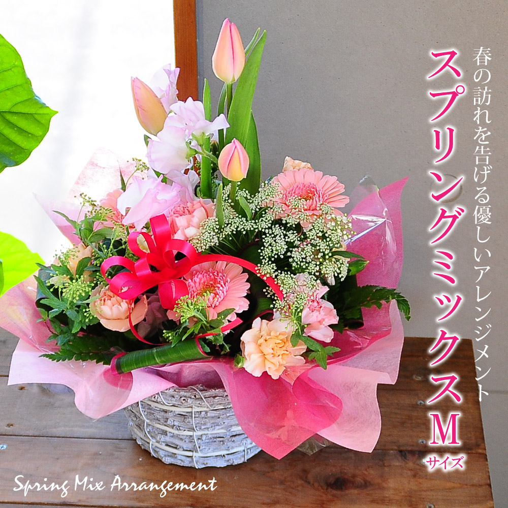 ホワイトデー お返し 花 アレンジメント 愛妻の日 花 チューリップ アレンジメント 卒業式 花 卒園式 卒業祝い 卒園祝い チューリップ 花 ギフト  誕生日 花 ギフト チューリップ 卒業祝い花 歓送迎会花 宅配 スプリングミックス Mサイズ 花・観葉植物 ...