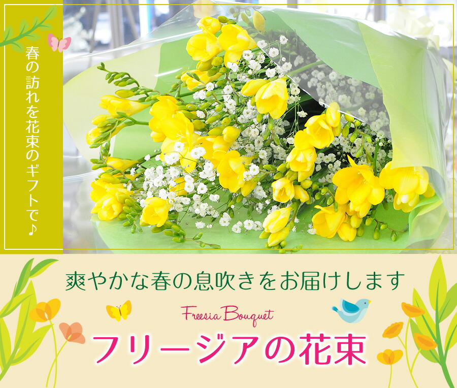 ホワイトデー お返し 花 生花 花束 フリージア ひなまつり ひなまつり 花宅配 花 ひな祭り フリージア 花束 生花 花 ギフト 春 送料無料 フリージアの花束 3l お祝い 誕生日 プレゼント 卒業 卒園 退職 記念日 花束ギフト 宅配 フラワーギフト お祝いに贈る花束ギフト 花宅配
