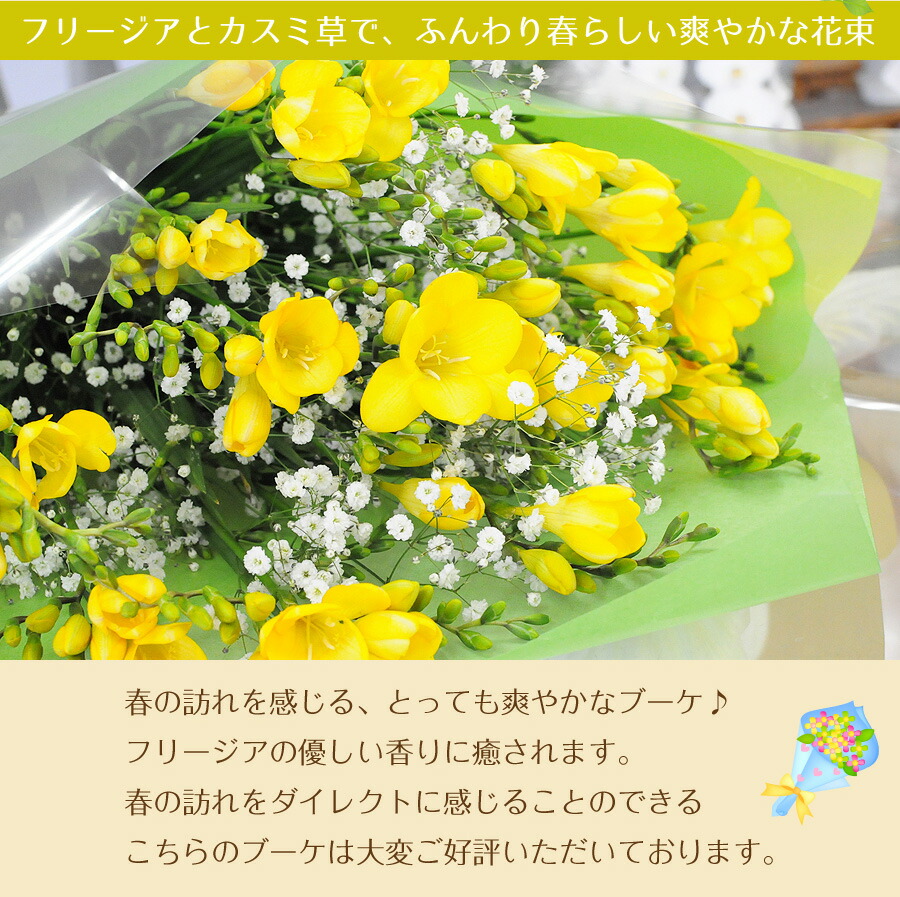 ホワイトデー お返し 花 生花 花束 フリージア ひなまつり ひなまつり 花宅配 花 ひな祭り フリージア 花束 生花 花 ギフト 春 送料無料 フリージアの花束 3l お祝い 誕生日 プレゼント 卒業 卒園 退職 記念日 花束ギフト 宅配 フラワーギフト お祝いに贈る花束ギフト 花宅配 ホワイトデー お返し 花 生花 花束 フリージア ひなまつり ひなまつり 花宅配 花 ひな祭り フリージア 花束 生花 花 ギフト 春 送料無料 フリージアの花束 3l お祝い 誕生日 プレゼント 卒業 卒園 退職 記念日 花束ギフト 宅配 フラワーギフト お祝いに贈る花束ギフト 花宅配
