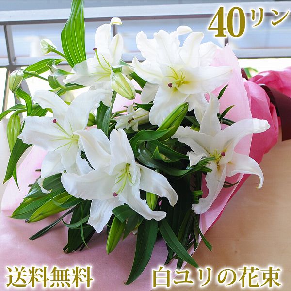 花 誕生日 大輪系 40輪以上 の 花 青いばら 花束 四十九日 花 お花 プレゼント ギフト フラワー 白ユリ 誕生日 女性 花 ギフト ゆり 花束 ユリの花束 ゆり花束 百合花束 誕生日の花 お祝いの花 送料無料 翌日配達 お花贈る 花 贈る お花