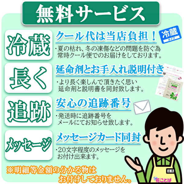 ルビー ピンク カーネーション 3本入 ブーケ 送料無料 花束 ルビー婚 結婚記念日 40周年 誕生日 プレゼント 生花 女性 お祝い 送別 退職  入学 卒業 出産祝い 開店祝い 還暦 かすみ草 発表会 花 赤バラ 結婚祝い 記念日 バラ 父の日 母 40代