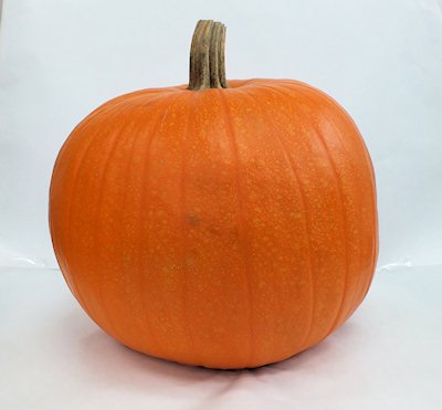 楽天市場】特大カボチャ3Lサイズ ハロウィンシール付ハロウィン