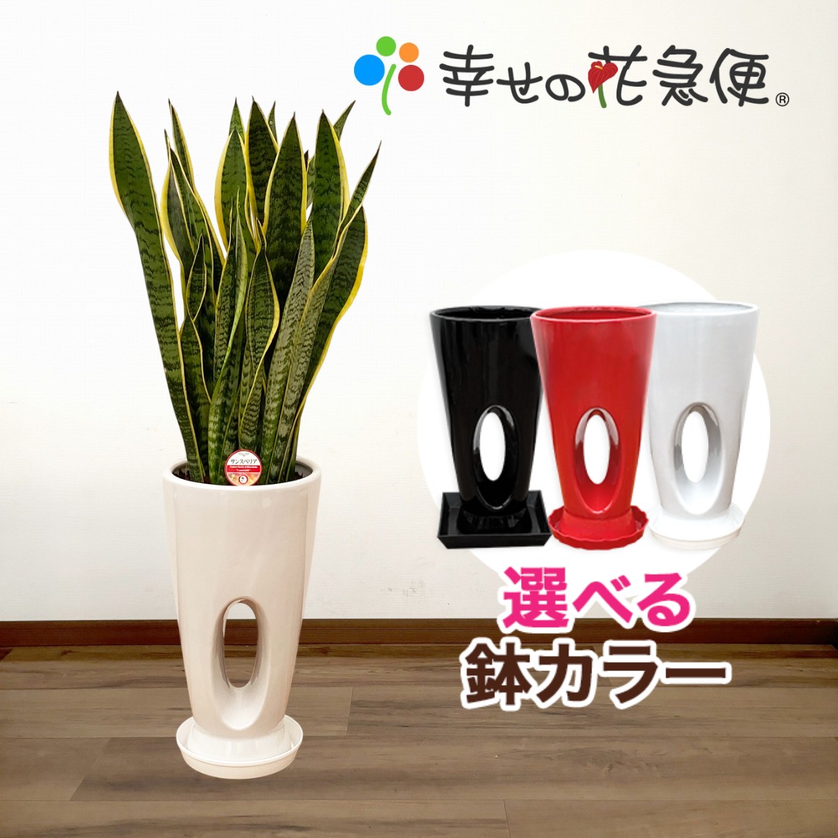 観葉植物 サンスベリア7号穴高陶器鉢 高さ約90cm サンセベリア トラノオ 開店祝い 新築祝い 誕生日プレゼント 引越し祝い インテリア アジアン モダン おしゃれな植木鉢 送料無料 Smtb Ms Educaps Com Br