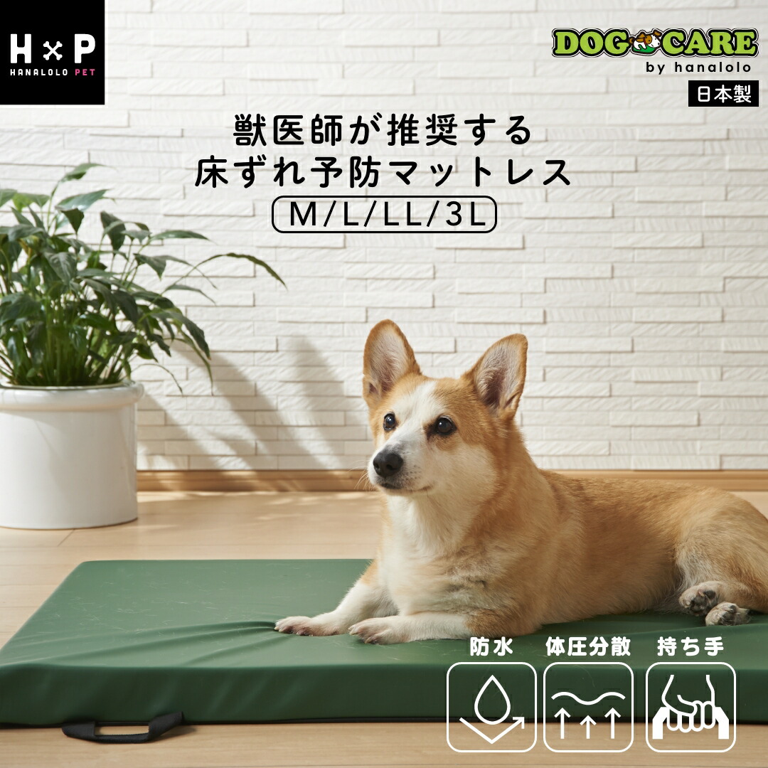 dog000_1-2.jpg