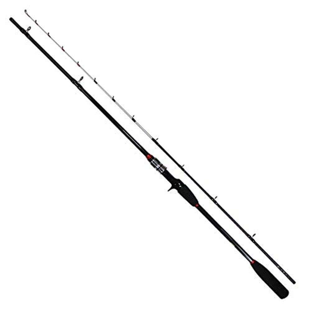 シマノ(SHIMANO) ロッド 船竿 19 ライトゲーム BB TYPE82 HH190 手持ちの釣り向け エントリーモデル