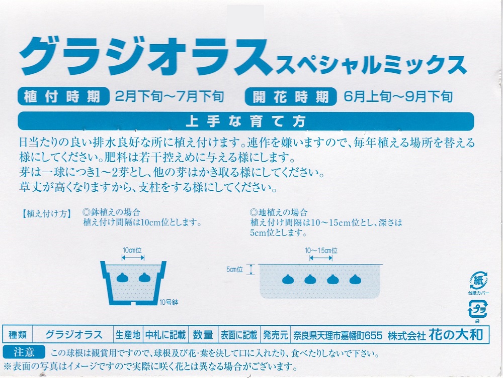 楽天市場 グラジオラス 球入スペシャルミックス花の大和 春植球根 花まるマーケット