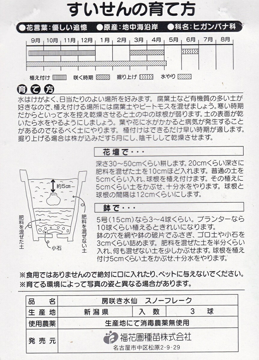 楽天市場 房咲きすいせんスノーフレーク ３球 秋植え球根 花まるマーケット