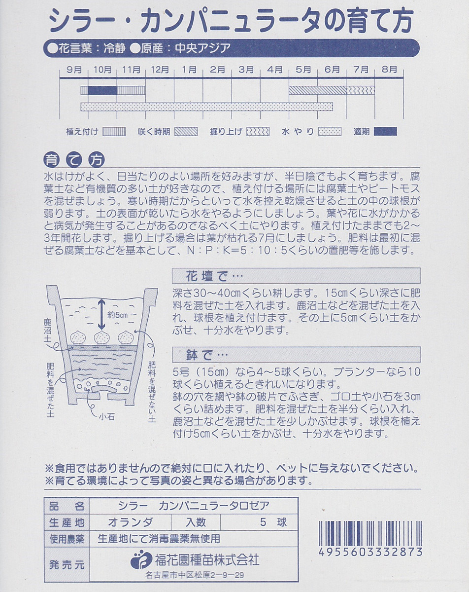 楽天市場 秋植え球根 シラーカンパニュラータ ロゼア５球 福花園種苗 花まるマーケット