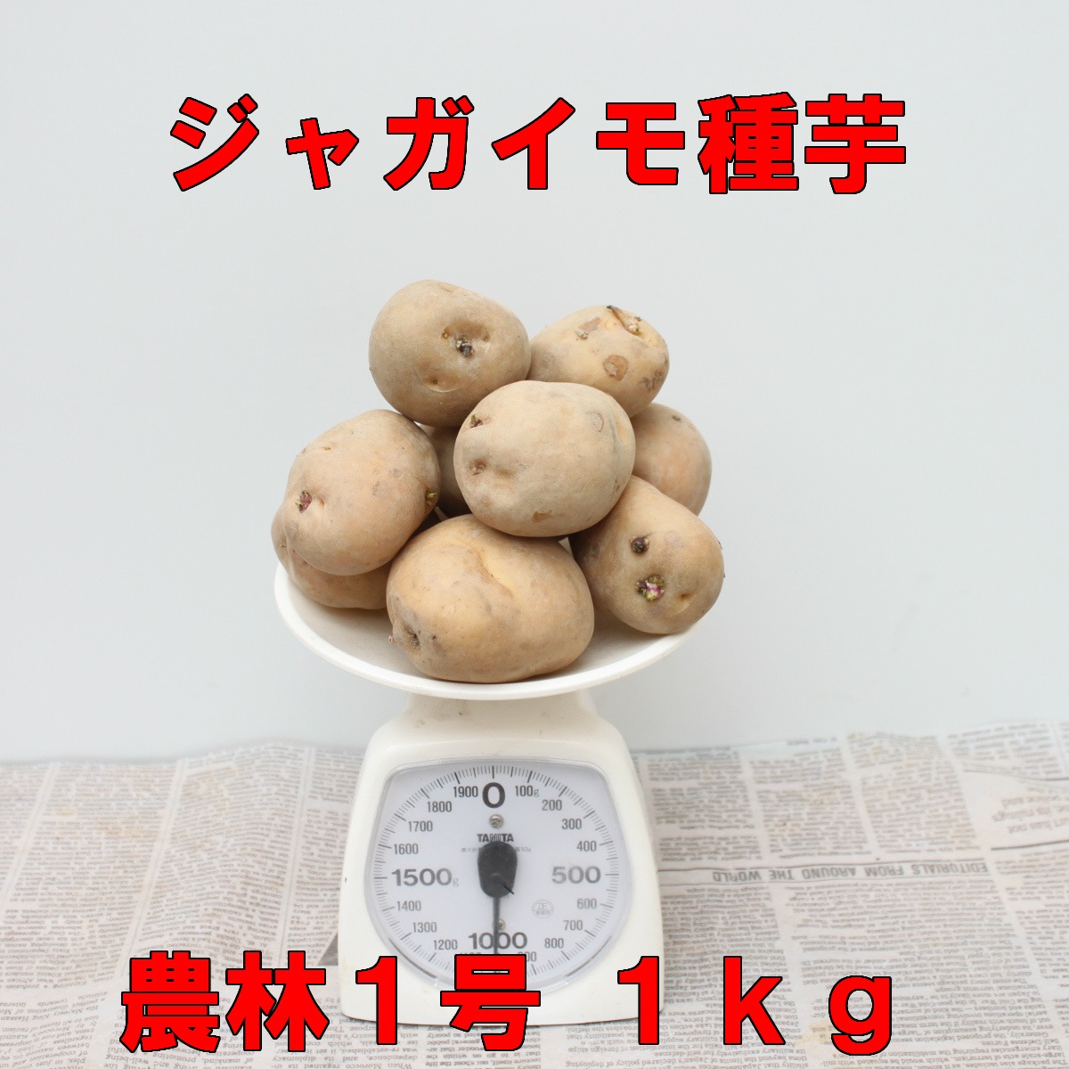 楽天市場 ジャガイモ 種イモ 農林１号 １ｋｇ 充填時 花まるマーケット