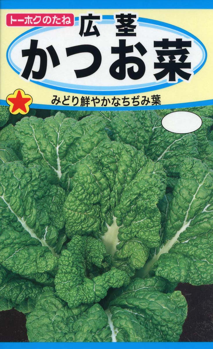 楽天市場】【種子】ソラマメお多福豆トーホクのたね : 花まるマーケット