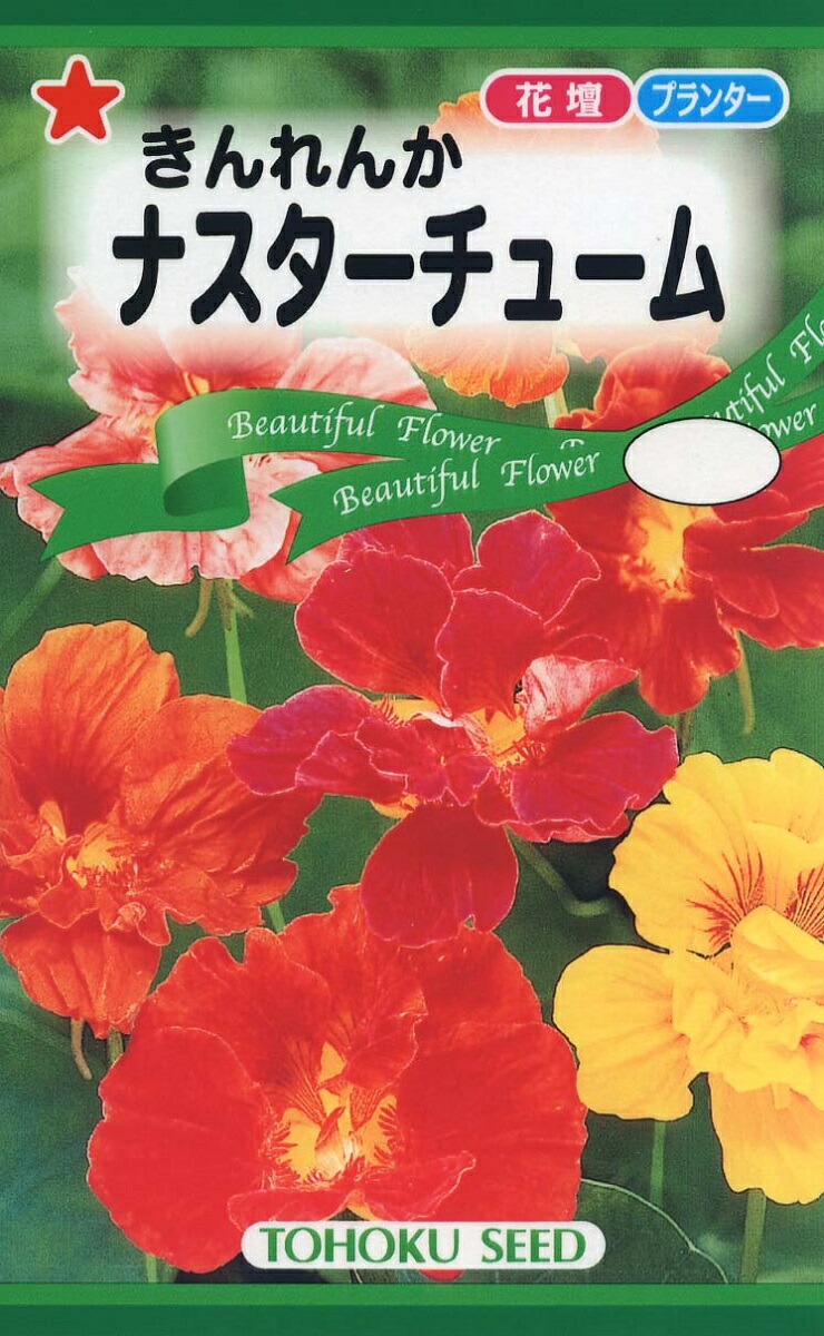 楽天市場 おしろい花 種子 トーホクのたね 花まるマーケット