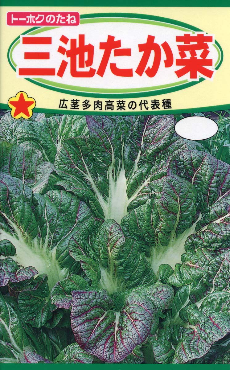 楽天市場】【三池高菜】 種・小袋 （6ml） 固定種 : 苗木部 by