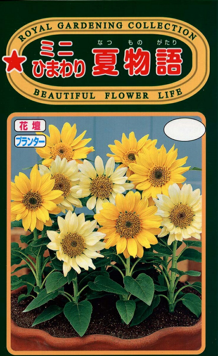 楽天市場】コスモス混合 種子 1リットル 1L詰め 景観用 センセイション