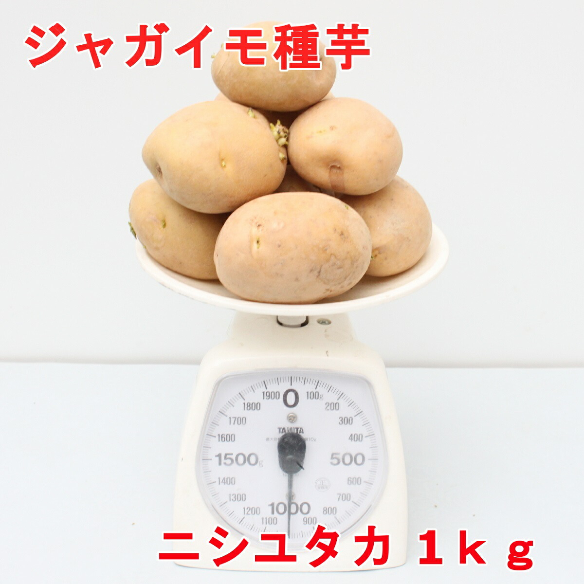 楽天市場】種ジャガイモ デストロイヤー（グランドペチカ）1kg