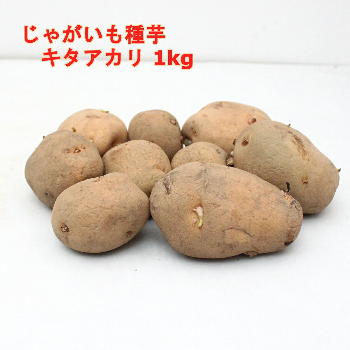 楽天市場】種芋 キタアカリ Sサイズ 1キロ（約18コ）切らずに植え