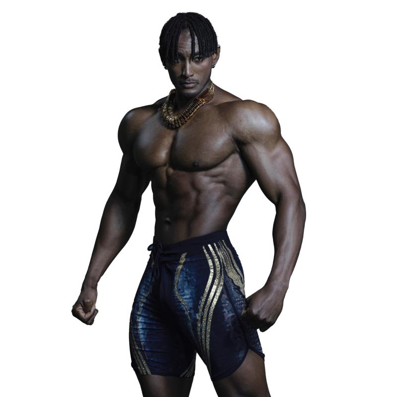 [FIED] ファイド 15インチ メンズフィジークボードショーツ、サーフパンツ IFBB NPC SSA (ウォーリアーブルー)