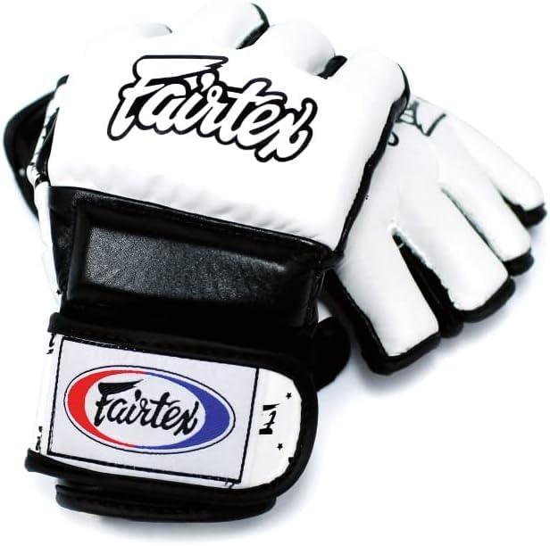 Fairtex 公明正大テックス MMA地球儀 FGV17 スパーリング地球儀