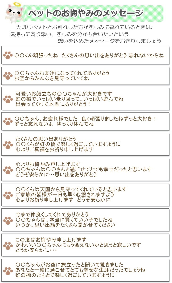 ペット用 お悔やみ花 レインボーカーネーション お供え 犬 猫アレンジメント 生花 送料無料 Crunchusers Com