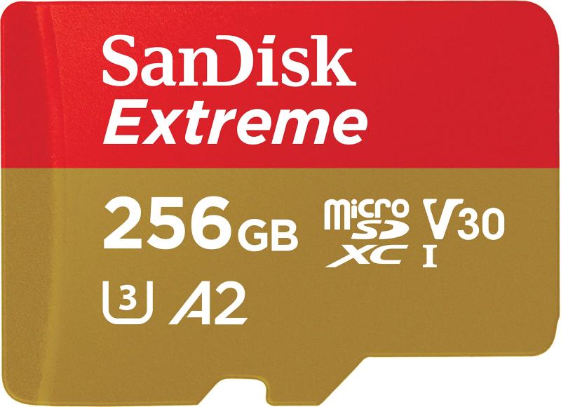Micro SD Card, 256 GB, , UHS-3, Class 10, Nintendo Switch Recommended, SDSQXAV-256G-GN6MN SD Converter, No SD Adapter, Internat