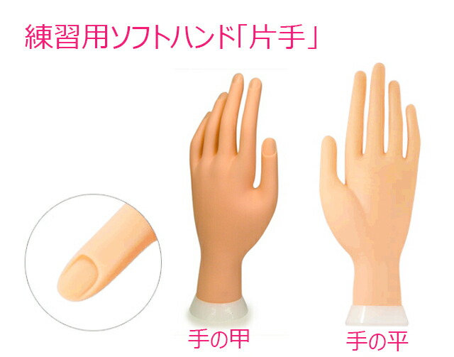 楽天市場】ネイル 練習用 スタンド ハンドクリップ 固定 ハンド