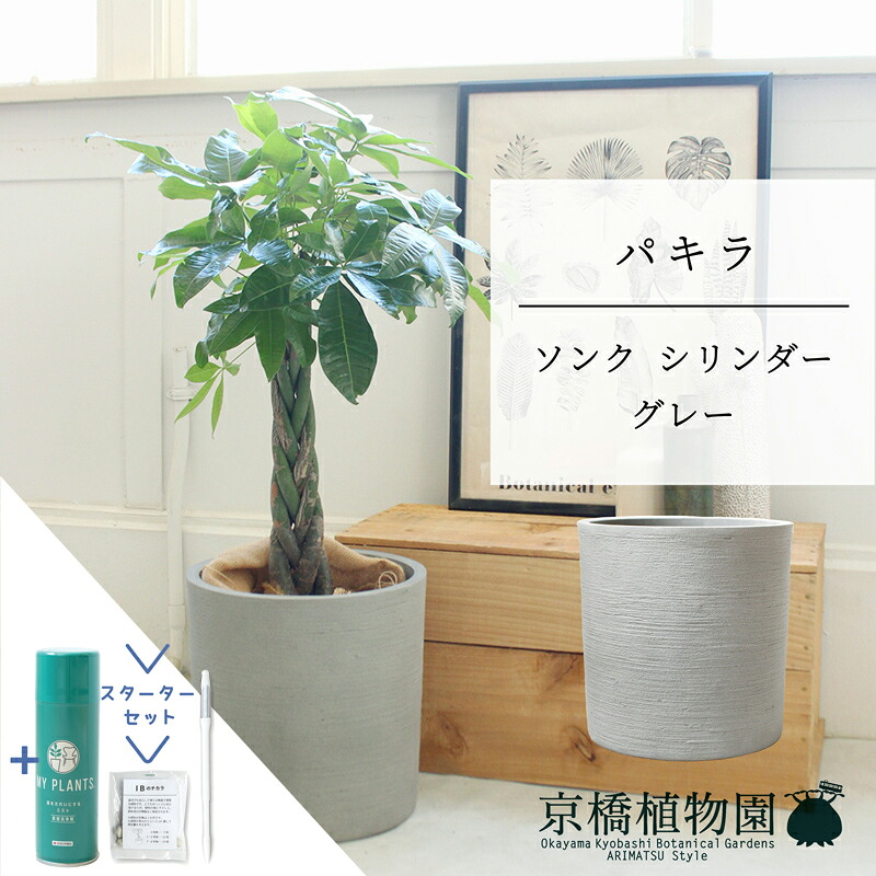 SNSで話題 M9CN0JRQ69H [M9CN0JRQ69H]