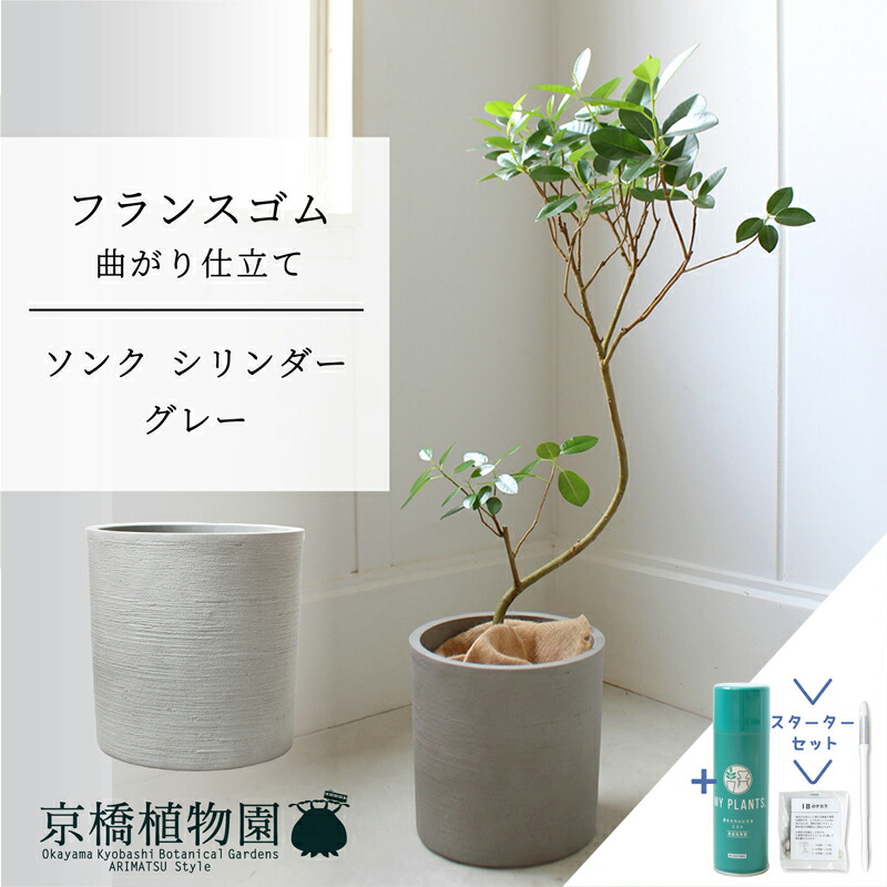 大人気  【M07T8R6VNUR】 限定デザイン