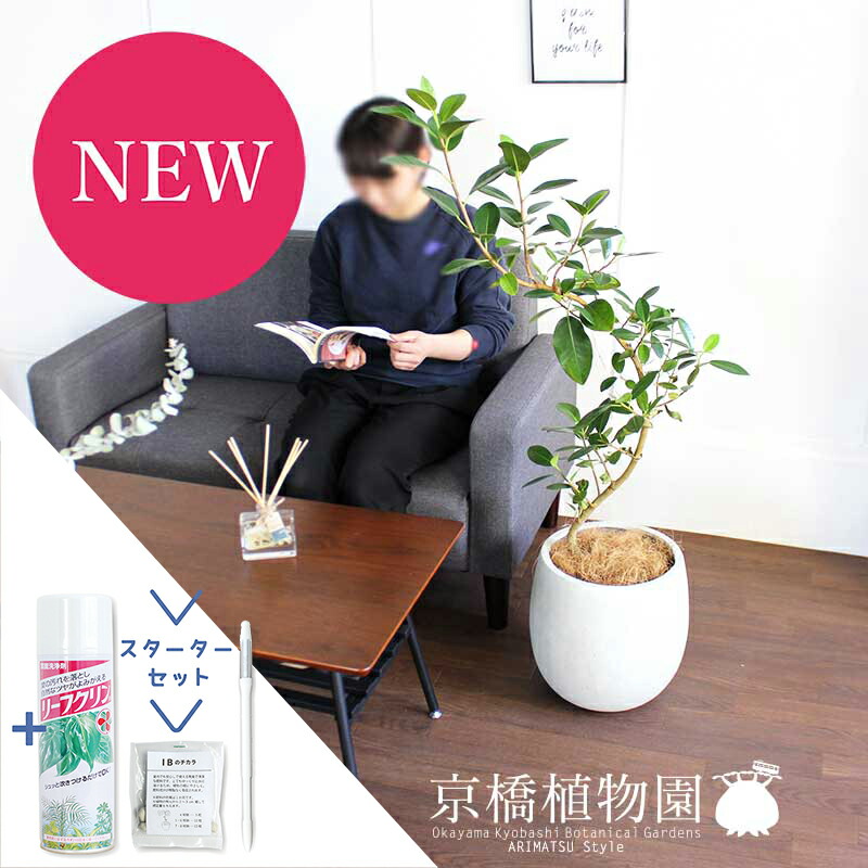 【現品】フランスゴム　曲がり　7号　茶鉢　（3） 楽天市場】【20日はP5倍！】フランスゴム 曲がり 7号【FRP製