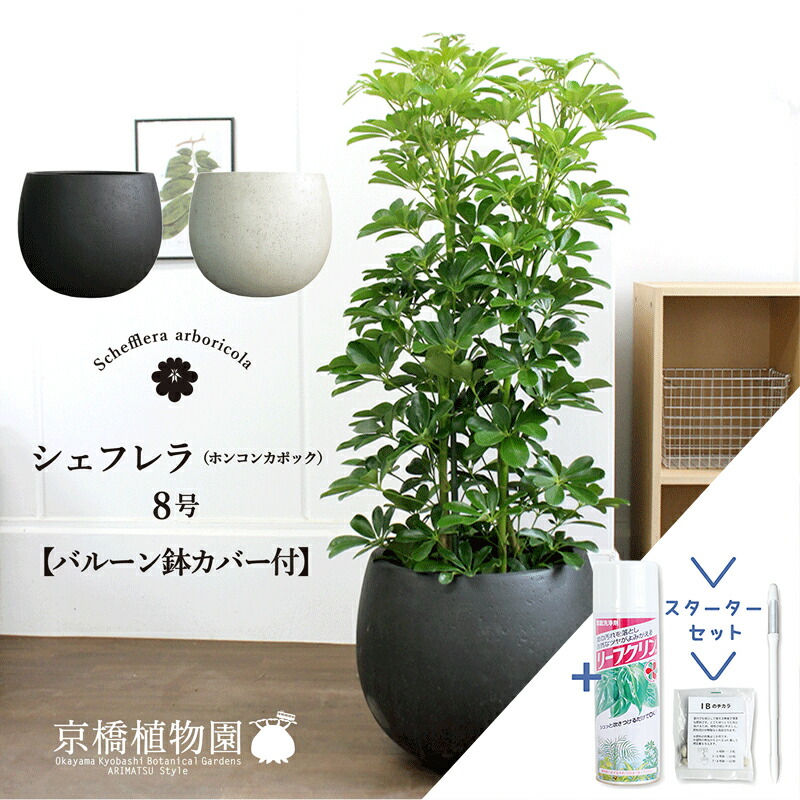 [大人気 ] MVIMXVZEH8B (MVIMXVZEH8B)