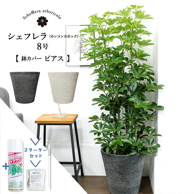 あす楽対応 MWXEHCH8MV0 型番:MWXEHCH8MV0
