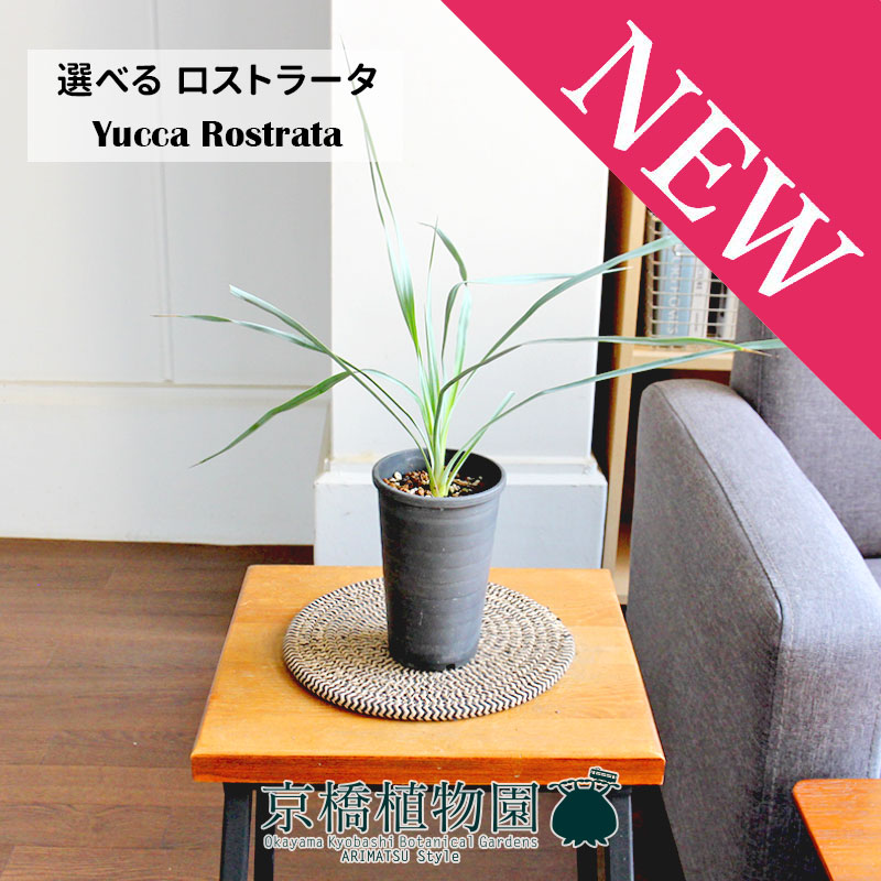 花のアリマツ支店