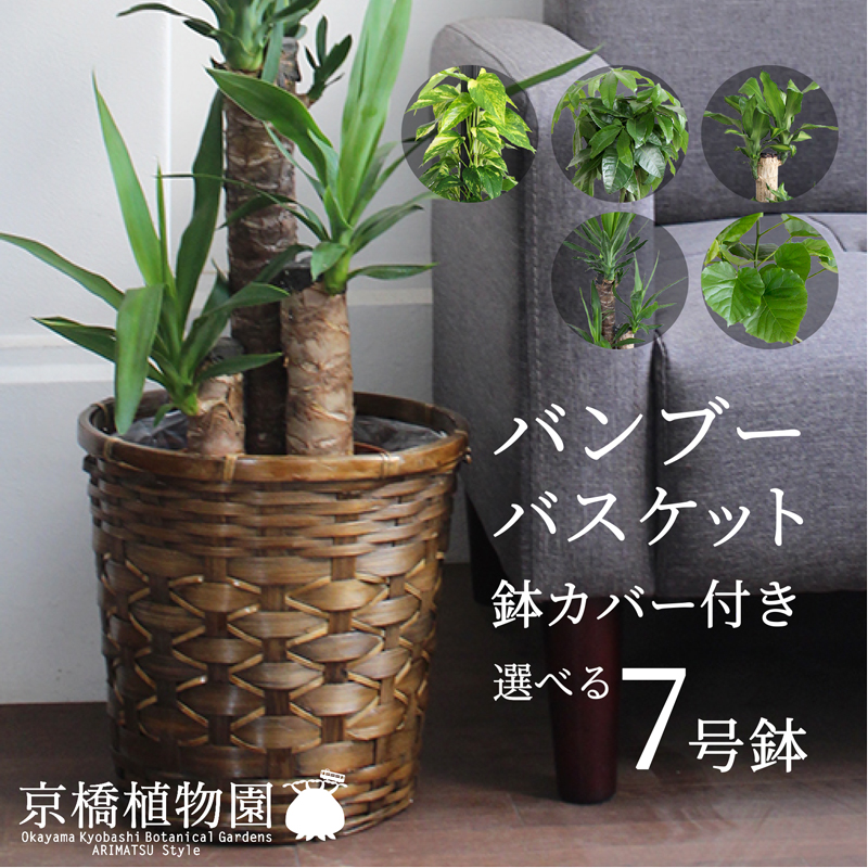 バンブーバスケット鉢カバー えらべる植物 7号鉢サイズ 受け皿付き Andapt Com