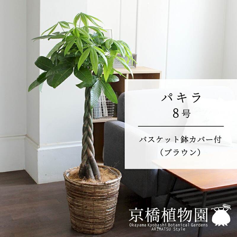【バスケット鉢カバー