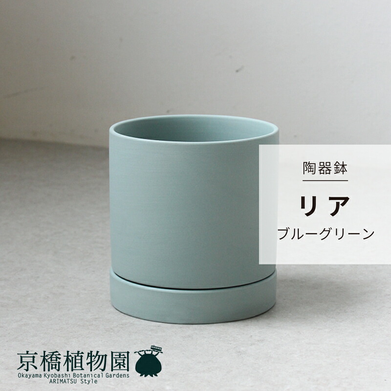 楽天市場】【30日はP5倍！】【陶器鉢】リア グレー【受け皿