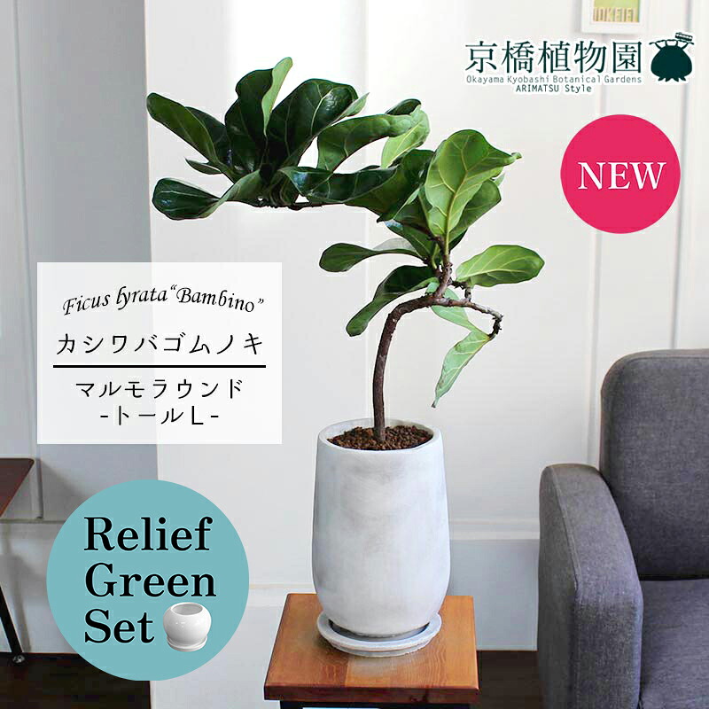 大人気 本日発送  【M07QMNUJTAA】 限定デザイン