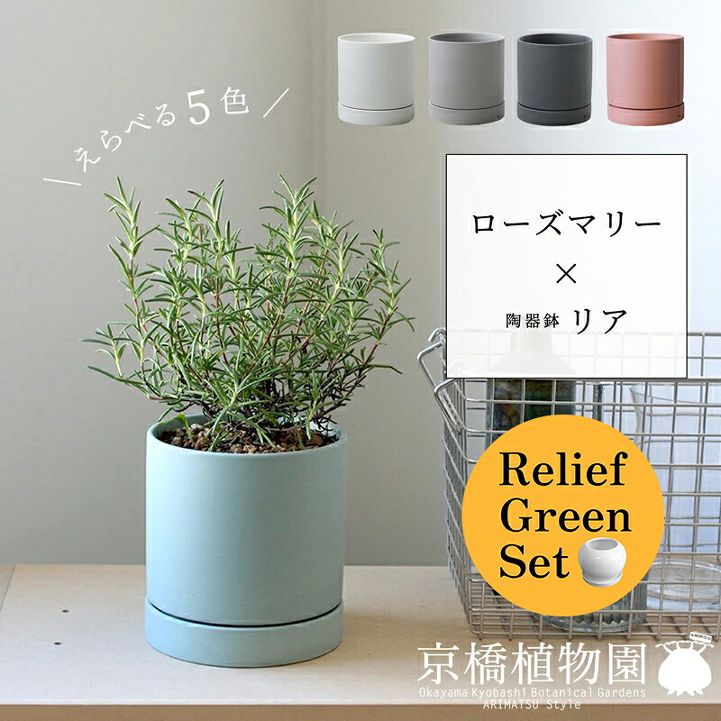 【25日はP5倍!】【マラソンクーポン有!】【リリーフグリーンセット】【えらべるカラー】ローズマリー×陶器鉢・リア【受け皿付】4G×フランスゴム 曲がり【陶器鉢/受け皿付き】【2鉢セット】|花のアリマツ支店