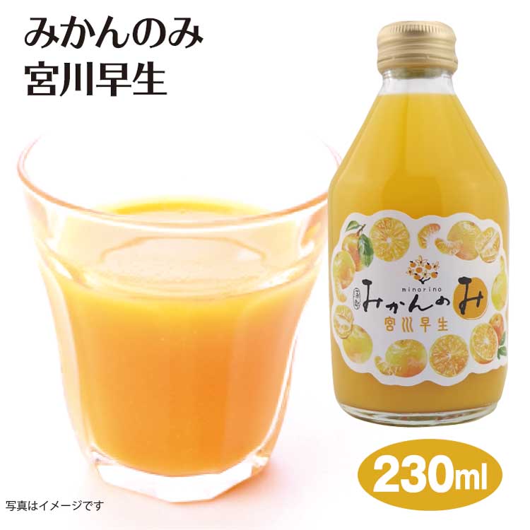 楽天市場】＼今期、製造分販売開始！／みかんのみ宮川早生230ml（飲み