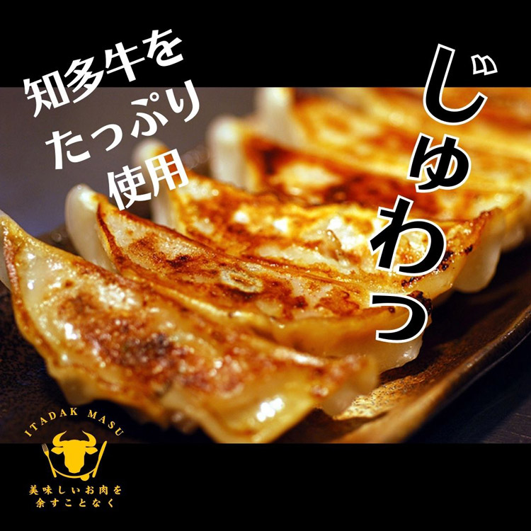 知多牛餃子12個入り×3個知多牛和牛餃子ぎょうざ冷凍おかずおつまみご飯のお供愛知知多半島お土産はなのき堂