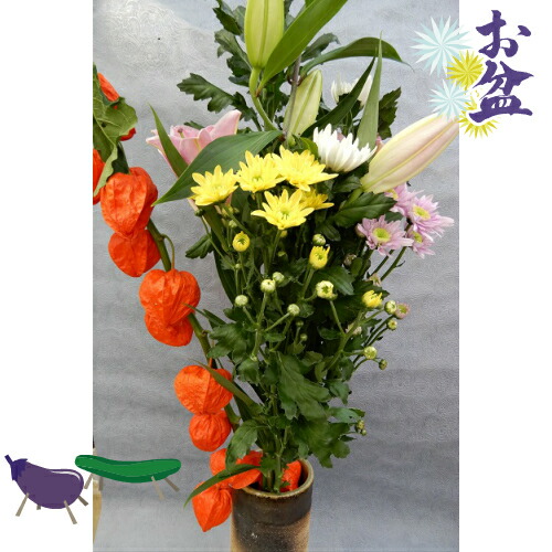 ほおずき　実　生花　100個 楽天市場】[生花] ほおずき 100cm 葉つき 1本〜 大分 宮崎産 秀