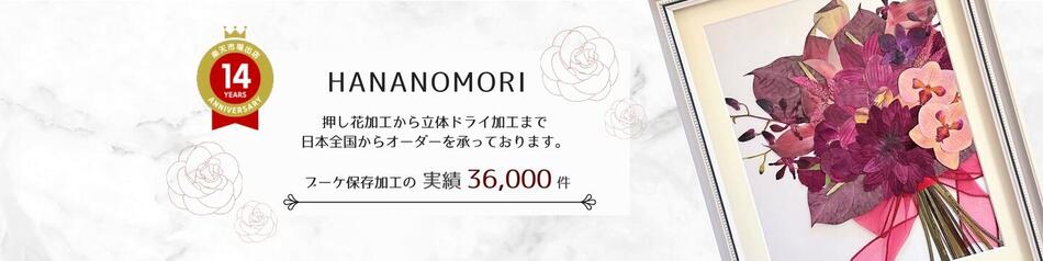 ֡¸ùŹ ֤ο֡ « ץݡΤ ʰ¸ù ե֡Ź ֤ο