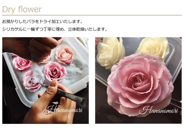 楽天市場 プロポーズ ローズ Sサイズ 赤い薔薇 レッドローズ 赤いバラ ドライフラワー Red Rose スクエアボトル プロポーズ記念 保存 加工 ブーケ保存加工の専門店 花の森